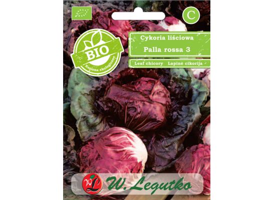 Cykoria Palla Rossa 3 BIO W.Legutko