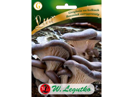 Grzybnia na kołkach Boczniak ostrygowaty W.Legutko