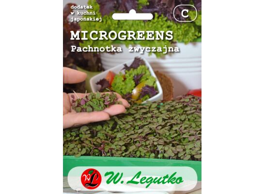 Pachnotka zwyczajna purpurowa Microgreens W.Legutko