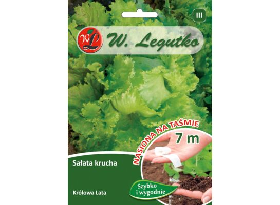 Nasiona na taśmie sałata głowiasta krucha lodowa Królowa Lata 3 g gc. III W.Legutko