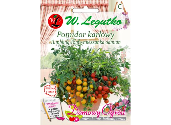 Pomidor Tumbling Tom gruntowy, karłowy mieszanka W.Legutko