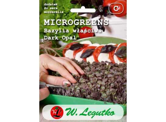 Bazylia właściwa Dark Opal czerwona Microgreens W.Legutko