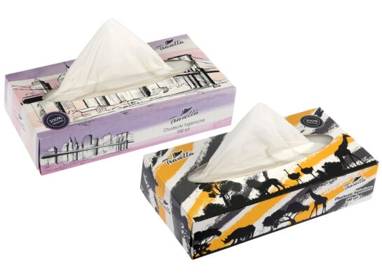 Chusteczki higieniczne 2-warstwowe box 100 szt.