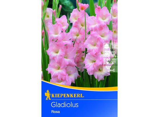 Mieczyk 100-120 cm 14/+ różowy