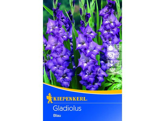 Mieczyk 100-120 cm 14/+ niebieski