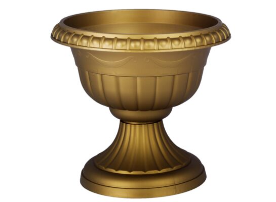 Gazon ROMA 2 złoty (do wyczerpania zapasów)