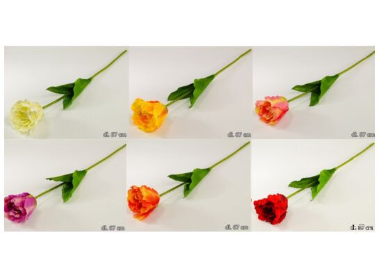 Tulipan 64 cm