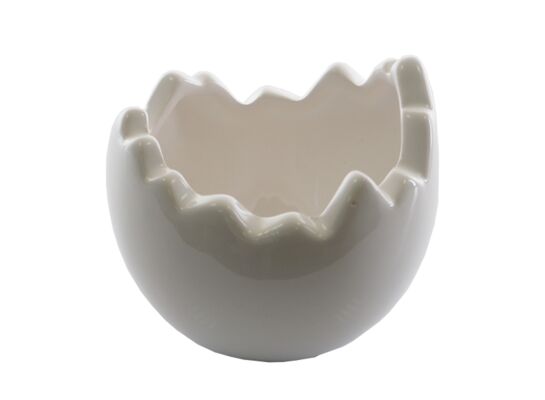 Jajo osłonka biała