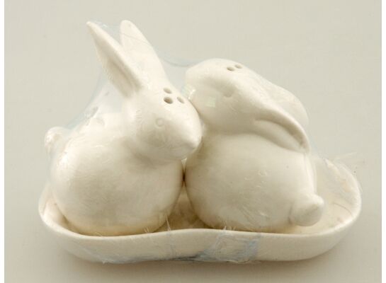 Zając solniczka biała