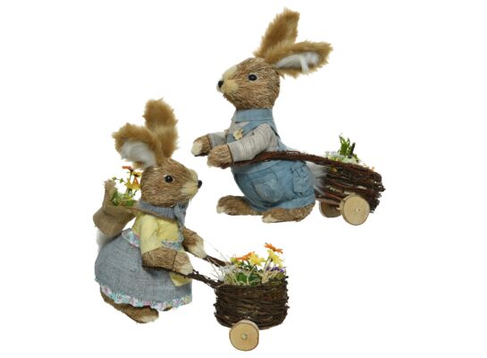 Zając chłopiec i dziewczynka