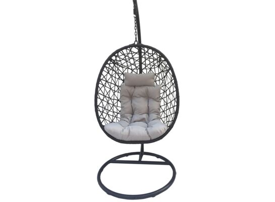 Bujak okrągły czarny