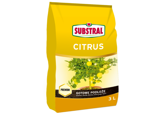 SUB ZIEMIA DO CYTRUSÓW  A`3L