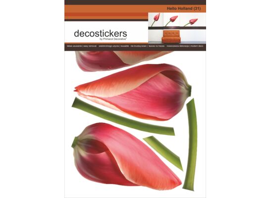 Naklejka dekoracyjna Decostickers Hello Holland 31 Primacol Decorative
