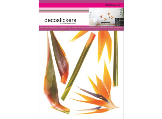 Naklejka dekoracyjna Decostickers Strelitzia 5 Primacol Decorative