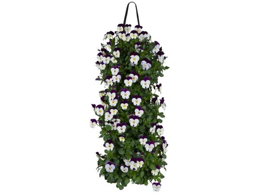 Bratki w wiszącej torbie