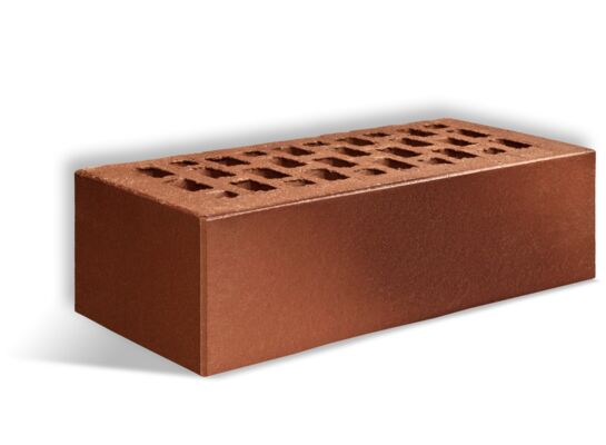 Cegła klinkierowa DARWIN NFNM38