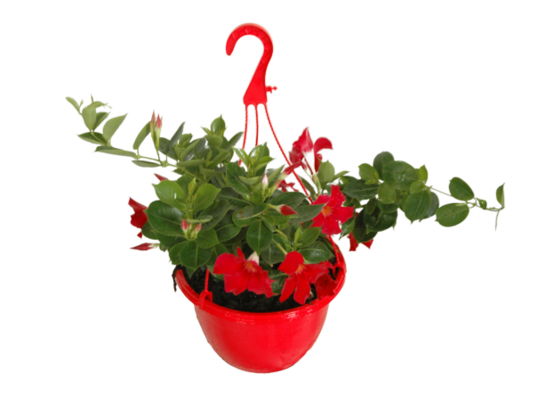 Sundaville kosz wys. 35 cm don. 21 cm