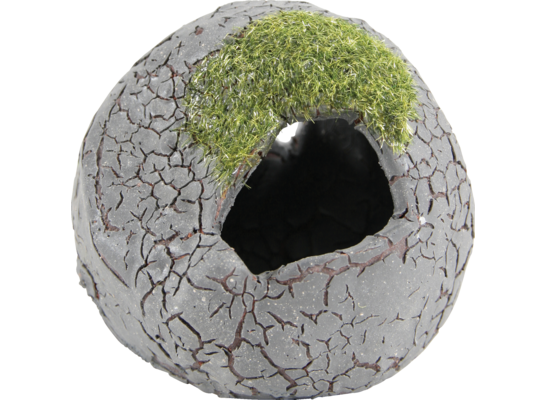 Dekoracja akwarium kula z mchem ETNA S ZOLUX