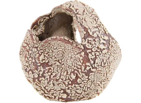 Dekoracja akwarium kula ARKEO L ZOLUX