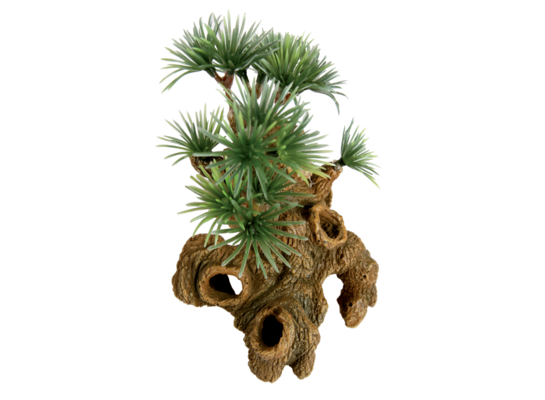 Dekoracja "Bonzai" miniatura ZOLUX