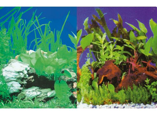 Tło akwariowe dwustronne 30 cm/25 m rośliny/rośliny HOBBY