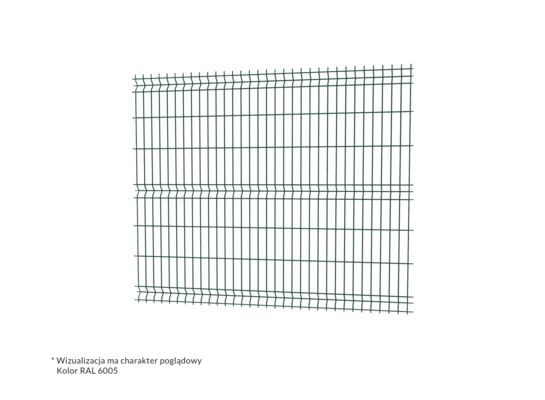 Panel ogrodzeniowy N3D LIGHT II 250x153 cm 6005