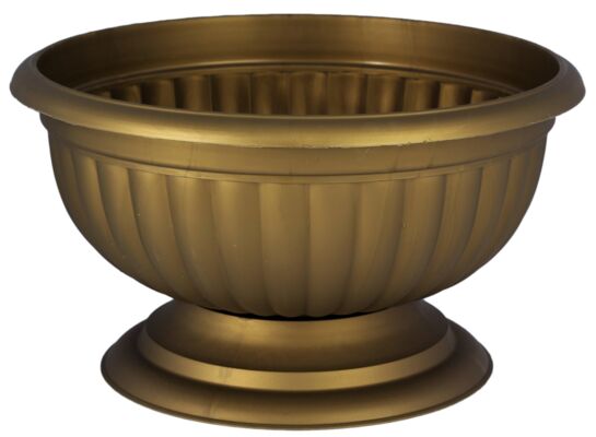 Misa GRACJA 1 złoty