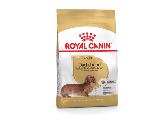 Karma dla psów DACHSHUND ADULT 1,5 kg ROYAL CANIN