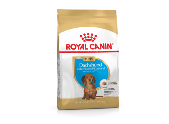 Karma dla psów DACHSHUND PUPPY 1,5 kg ROYAL CANIN