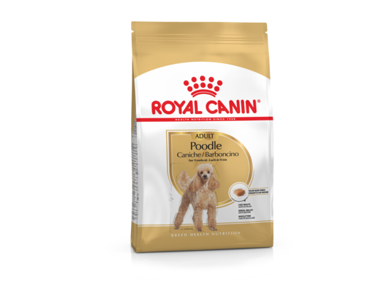 Karma dla psów POODLE ADULT 1,5 kg ROYAL CANIN