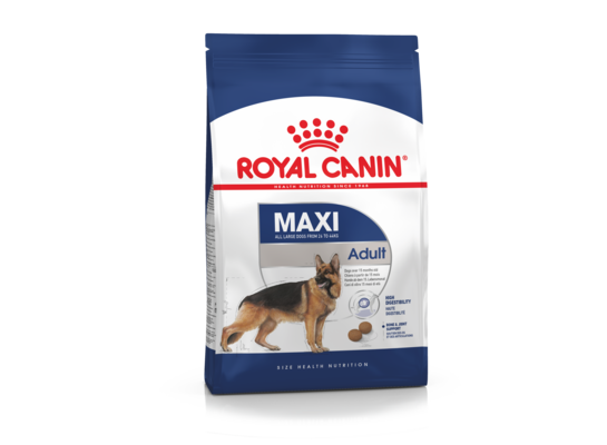 Karma dla psów MAXI ADULT 4 kg ROYAL CANIN