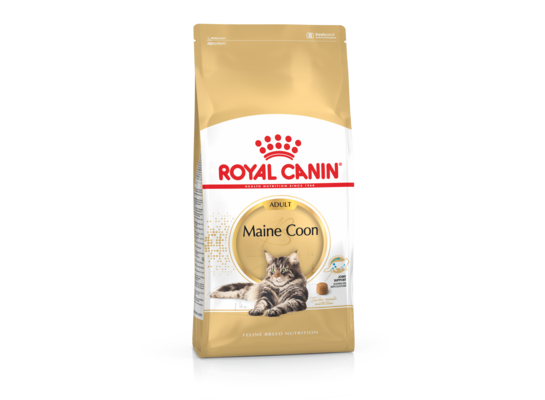 Karma dla kotów MAINE COON ADULT 2 kg ROYAL CANIN