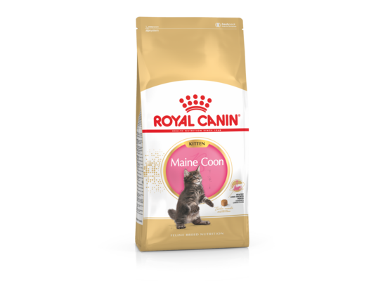 Karma dla kotów MAINE COON KITTEN 2 kg ROYAL CANIN