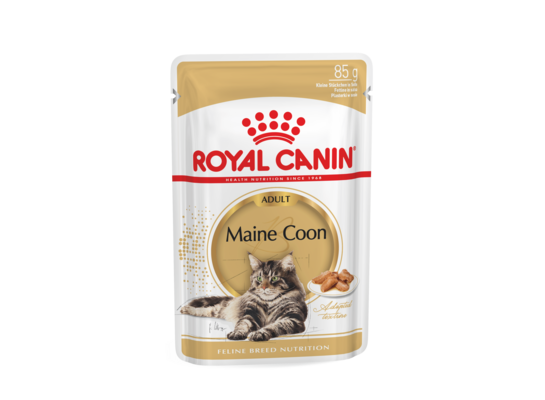 Karma dla kotów MAINE COON 85 g ROYAL CANIN