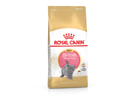 Karma dla kociąt BRITISH SHORTHAIR KITTEN 2 kg ROYAL CANIN