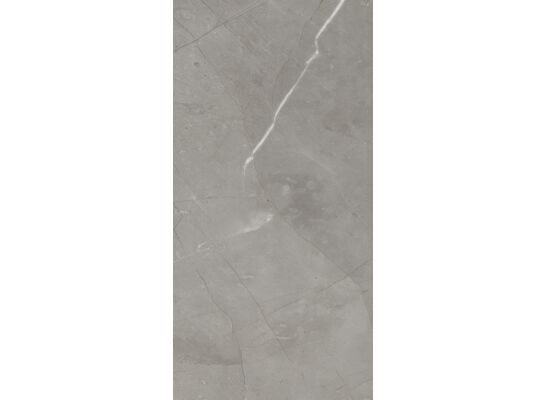 Gres szkliwiony Pure grey 31 x 62 cm gat. I