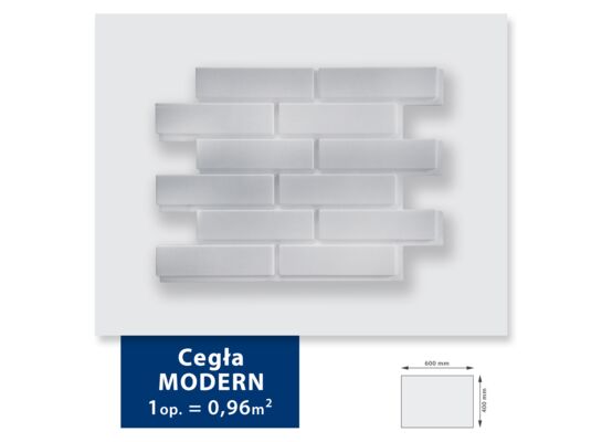 Pokrycia ścienne ze styropianu Cegła Modern 60 x 40 cm biały DMS