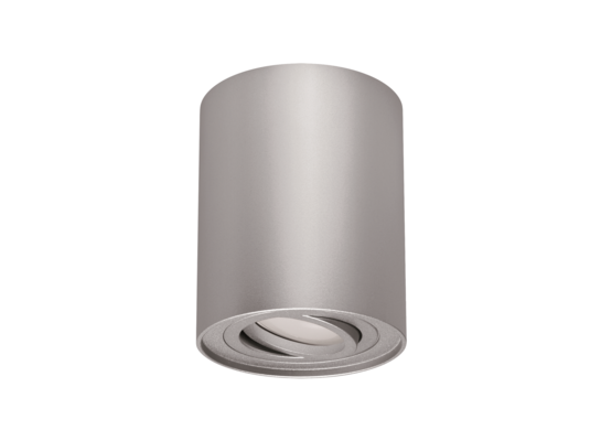 Plafoniera Hary C GU10 srebrna Ideus