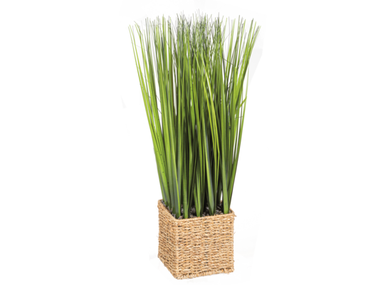 Trawa w wiklinowej osłonce 33 cm