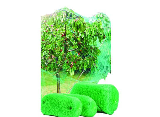 Siatka przeciw ptakom 4 x 100 m