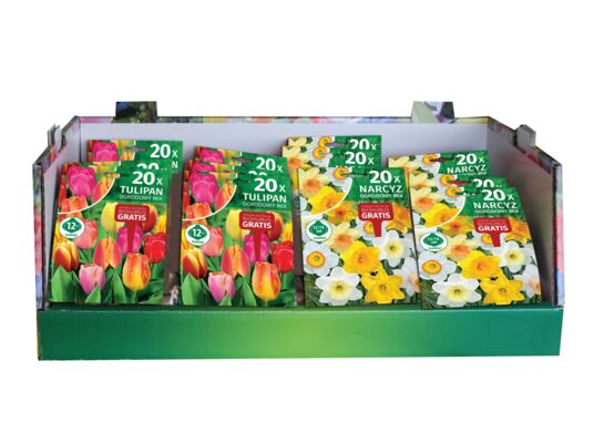 Cebule tulipanów mix 12+ 20 sztuk