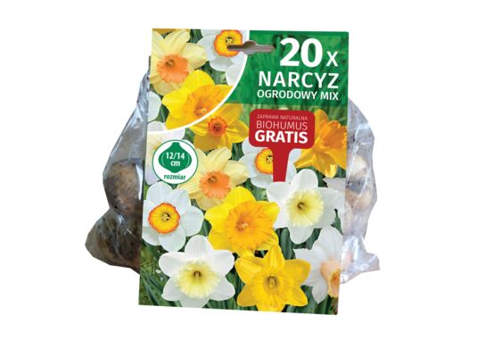 Cebule narcyzów mix 12/14 20 sztuk