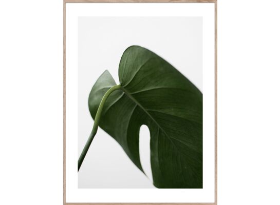 Obraz Artbox Digi 50 x 70 cm AB058 LEAF