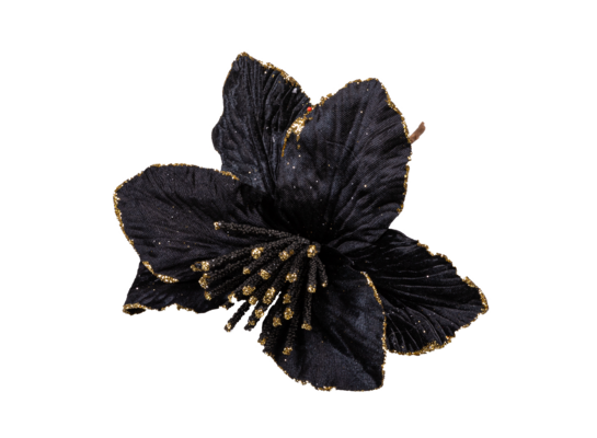 Poinsecja 25 cm czarno-złoty