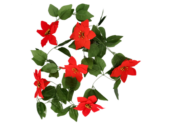 Girlanda z poinsecji 190 cm czerwony / biały