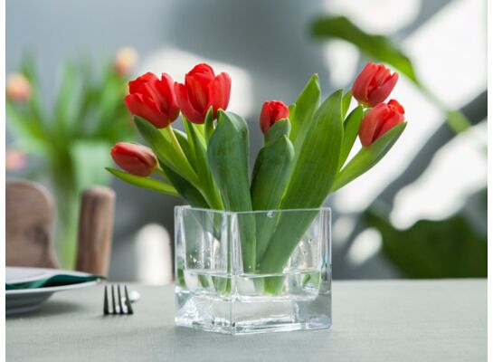 Wazon kwadrat 10 x 10 x 10 cm