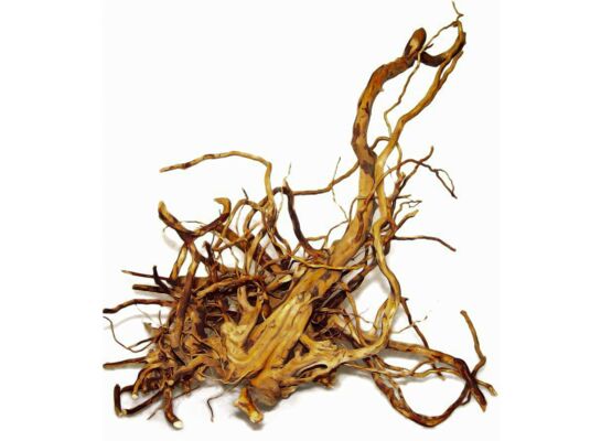 Korzeń Japoński M 20-35 cm Happet