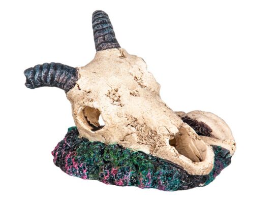 Ozdoba akwariowa czaszka happet