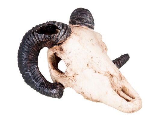 Ozdoba akwariowa czaszka happet