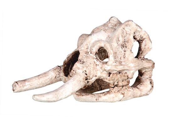 Ozdoba akwariowa czaszka happet